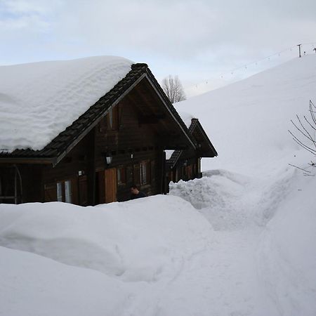 Ferienwohnungen Im Blockhaus Metzler Schwarzenberg im Bregenzerwald Ngoại thất bức ảnh