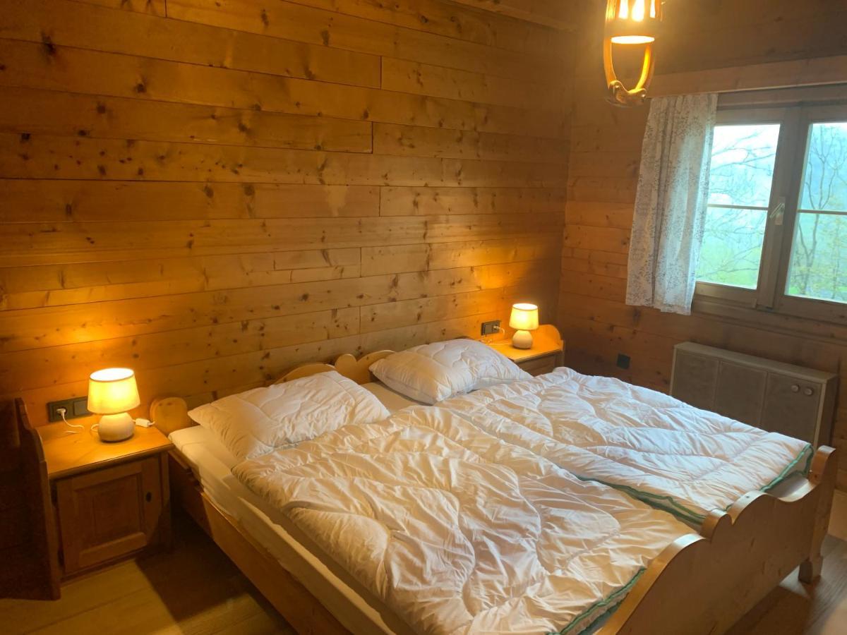 Ferienwohnungen Im Blockhaus Metzler Schwarzenberg im Bregenzerwald Ngoại thất bức ảnh